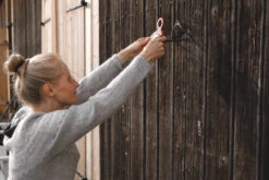 Bright Sun Turtle Solar Lamp -Trangia Shop 5B5A6791 scaled 1