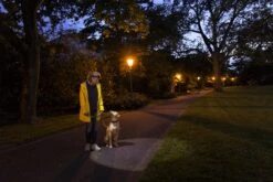 Led Lenser H6 Stirnlampe -Trangia Shop H Serie datasheet titelbild stirnlampe H5vPSz0hyeYMsQW